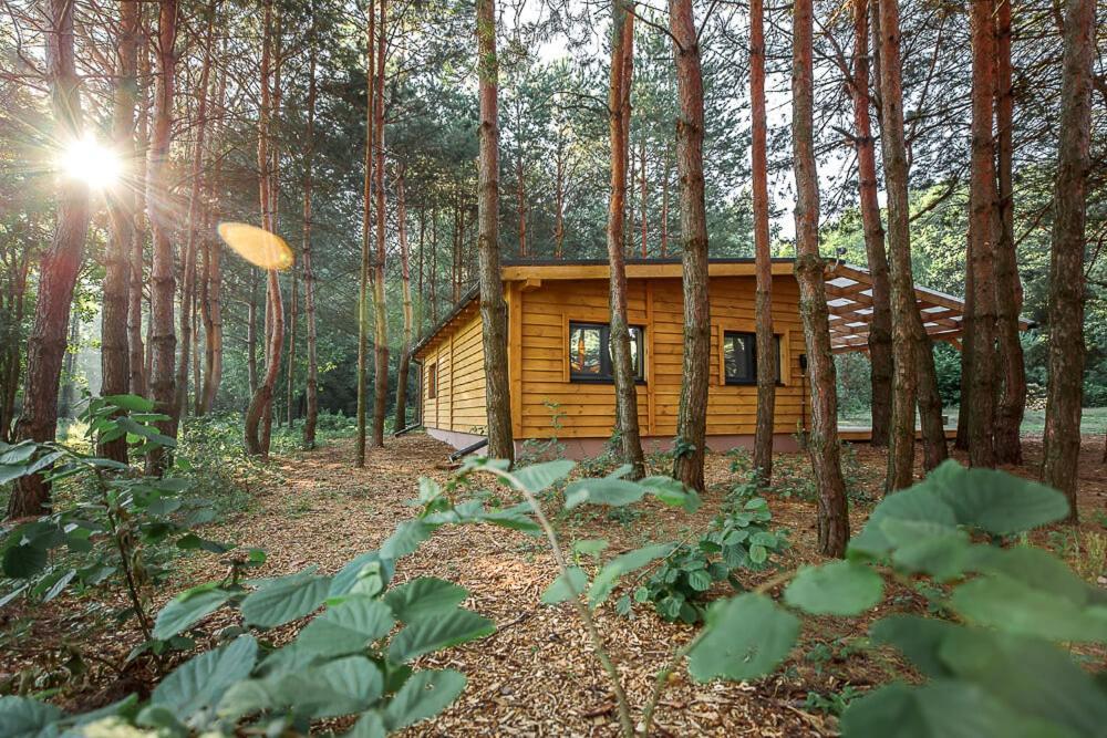 Уліс Дудки Котеджі Dudky Exterior foto